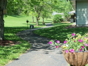 Back yard walkway and grounds